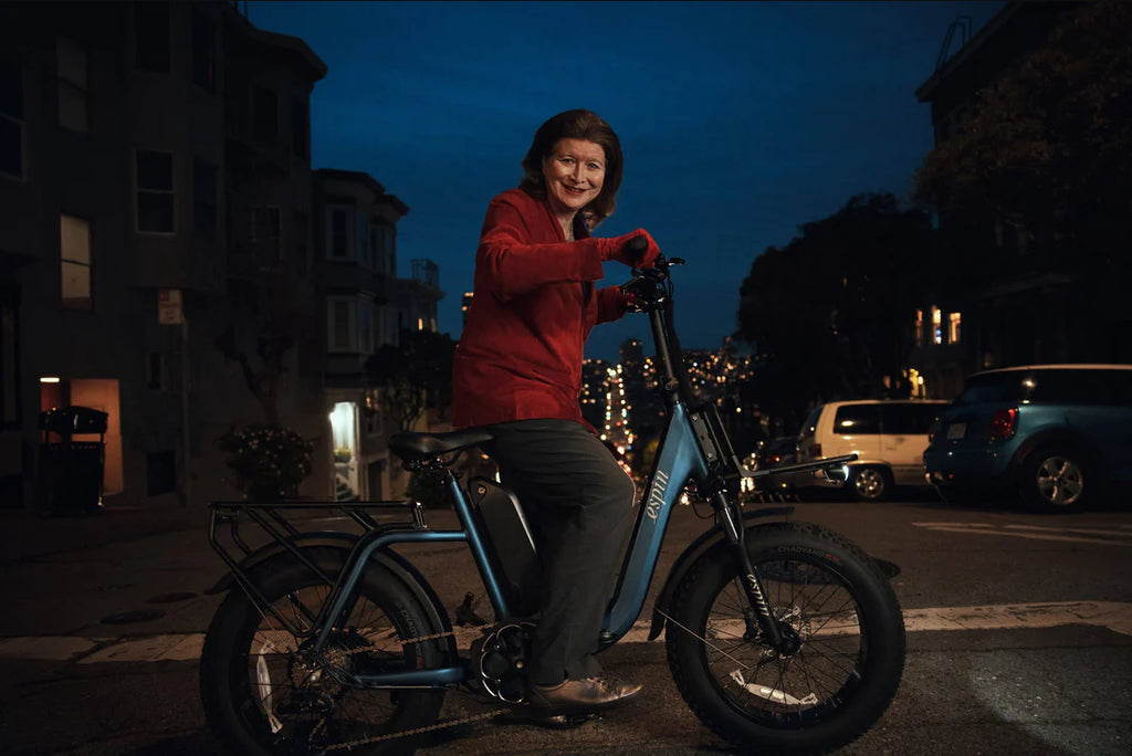 step through ebike